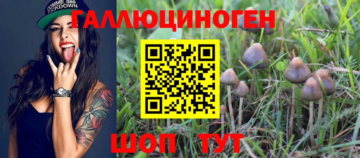 Ставрополь  Галлюциногенные грибы прущие грибы  Вход с VPN 